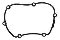 Timing Icecat Timing cover gasket
