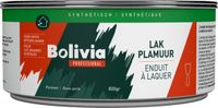 Bolivia Synthetische Lakplamuur 150 Gram