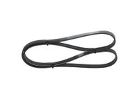 BOSCH Keilrippenriemen 1987947838