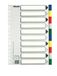 Esselte 11610 Blanco tabbladindex Karton, Polypropyleen (PP) Meerkleurig