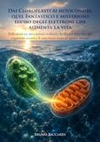 Dai Cloroplasti ai mitocondri, quel Fantastico e misterioso flusso degli elettroni che alimenta la vita: Riflessioni sui meccanismi evolutivi che ... e li trascinano verso un ignoto destino