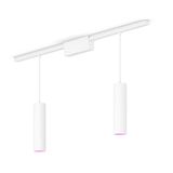 Philips Hue Philips Perifo Basisset Voor Recht Plafond (2 Hanglampen)