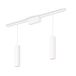 Philips Hue Philips Perifo Basisset Voor Recht Plafond (2 Hanglampen)
