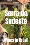 Serra do Sudeste Wines in Brazil