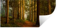 StickerSnake Muursticker - Bos - Natuur - Landschap - 160x80 cm
