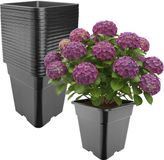 Garronda Set van 20 hoge vierkante kunststof kweekpotten met drainagegaten voor tuin (Zwart, 33 x 33 x 34 cm (25L))
