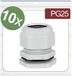 Quadrios 24CA398 Wartel PG25 Polyamide Grijs 10 stuk(s)