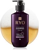Ryo Shampoo Anti Haaruitval Expert Care 9EX For Oily Scalp 400 ml