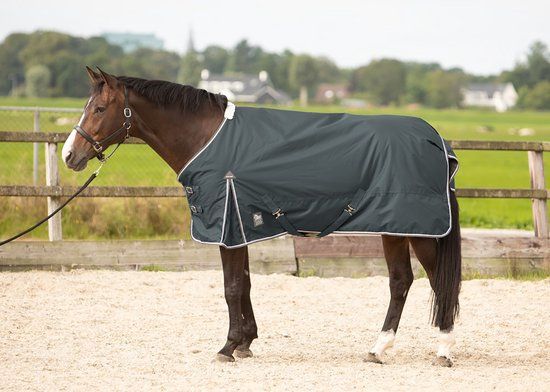 Harry's Horse Thor Outdoordeken - 100g - Ebony - Maat 165 - Grijs