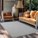 Giza Vloerkleed – Grijs met Kader – Laagpolig & Modern – Voor Binnen & Buiten – 140x200 cm