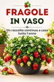 Fragole in vaso: Un raccolto continuo a casa tutto l'anno