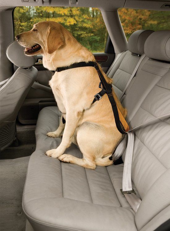 Kurgo Tru-fit Smart Harness Hondentuigje - Zwart - XS