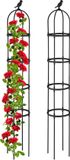 Relaxdays Plantensteun 188x30 cm - Set van 2