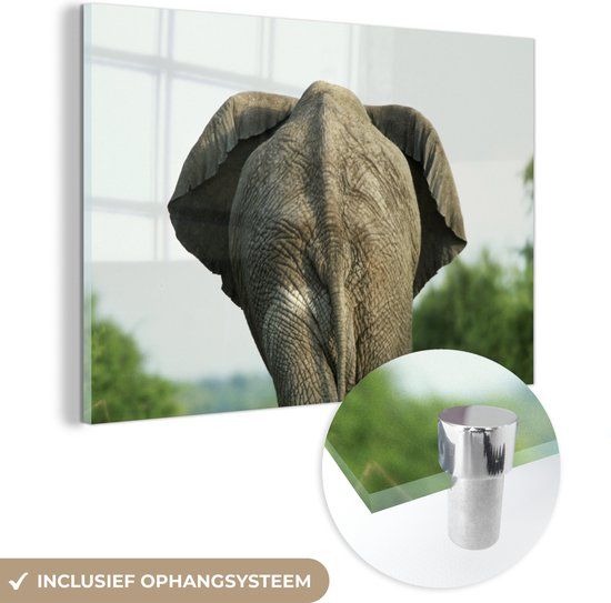 MuchoWow® Glass Painting 180x120 cm - Elephant - Acrylic Glass - Multicolor
