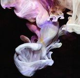 Bertus Distributie Simian Mobile Disco Murmurations