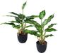 Unyqoos® Set van twee kunstplanten in pot