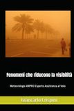 Fenomeni che riducono la visibilità