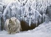 Cobble Hill Dozing Lynx - Robert Bateman Puzzle (1000 pièces)