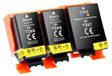 Epson Cartouches d'encre pour WF-100W/110W, 3 pièces (2 noir, 1 couleur)