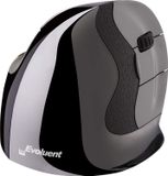 Evoluent D Medium Vertical Wireless Mouse - Gris