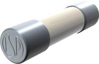 Püschel Feinsicherungen FSUT1,0A Buiszekering (Ø x l) 6.3 mm x 32 mm 1.0 A 500 V Traag -T- 10 stuk(s)