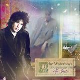 An Waterboys An Appointment With Mr. Yeats CD