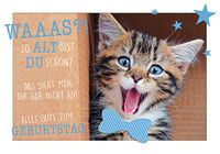 Verjaardagskaart Lifestyle Verjaardagskaart Lifestyle Happy Birthday Kat 11,6 x 16,6 cm