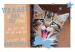Verjaardagskaart Lifestyle Verjaardagskaart Lifestyle Happy Birthday Kat 11,6 x 16,6 cm