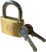 MANN-FILTER, TAYG S.L. 4x Grote Hangsloten - Hardmetalen Hangsloten - Goud - Sleutel