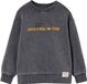 Vertbaudet Sweater met ronde hals voor jongens