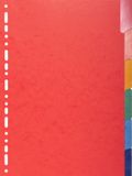 Exacompta 25x Tabbladen in glanskarton 225g met geplastificeerde gekleurde tabs - 6 tabs - A4 - Geassorteerd - 2206E