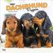 Dachshund Browntrout Publishers Dachshund Puppies - Dackel Welpen 2027 - 16-Monatskalender