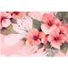 Papier peint panoramique fleurs 390 cm x 260 cm