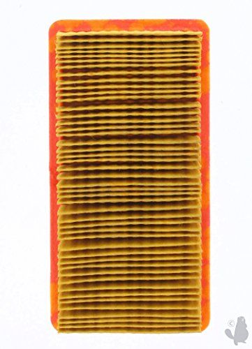 GREENSTAR 5490 Air Filter for Tecumseh GEOtec OHV 135 x 69 x 32 mm