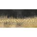 Papier peint panoramique design 195 cm x 98 cm
