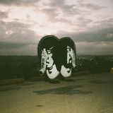 Suburban Death From Above 1979 The Physical World (11th Anniversary Deluxe Edition) LP