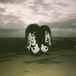 Suburban Death From Above 1979 The Physical World (11th Anniversary Deluxe Edition) LP