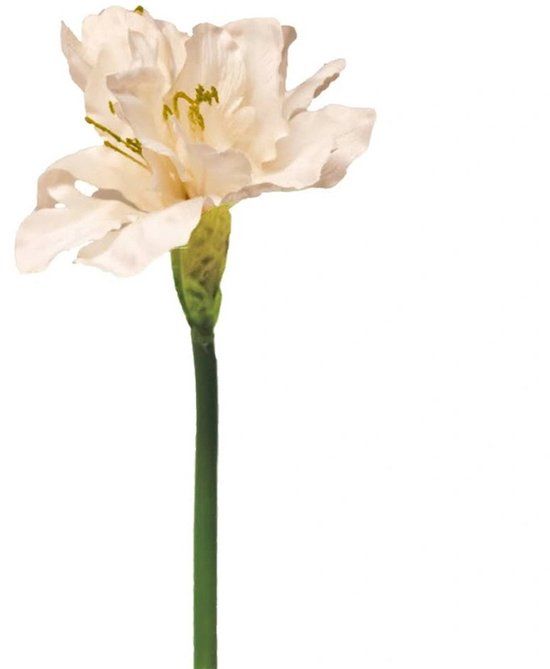 Buitengewoon Boet Buitengewoon de Boet Hippeastrum aline roze/groen 63 cm kunstbloem
