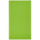 Lichtblick Plissee Klemmfix, sans perçage, extensible, à partir de 45 x 130 cm. (Vert, 60 x 130 cm)