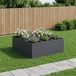 Maison Exclusive - Cache-pot de jardin anthracite 100 x 100 x 30 cm