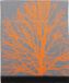 Wowow Europe BV Quadro Quebec Banden Reflectie Zilver/Oranje