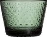 Iittala Oiva Toikka Tundra verre 16cl set van 2 dennen groen