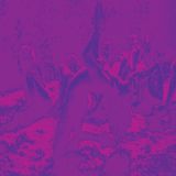 Acid Bardo Pond Acid Guru Pond (LP)