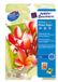 Avery 2480 pak fotopapier Wit Glans