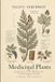 Pacific Northwest Medicinal Plants: Identify, Harvest, and Use 115 Wild Herbs for Herbal Remedies and Healing