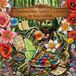 Grandmother Libri GmbH Grandmother Spider's Garden Paperback