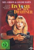 Ein info@mfp.de DVD / 1990