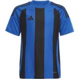 adidas uniseks-kind Striped 24 Jersey Kids Shirt, team royal blue/black, 5-6 Years