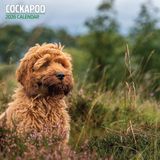 Cockapoo 2026 Traditionele kalender