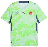 Puma SFV Away Jersey Replica Heren Maat S Katoen Sea Glass-Dark Indigo